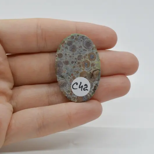 Cabochon Jasp Asteroid 36x24x6mm C42, imagine 2