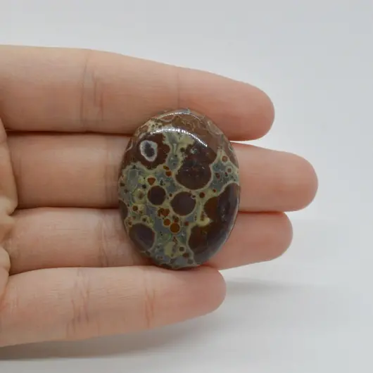 Cabochon Jasp Asteroid 36x27x8mm C6