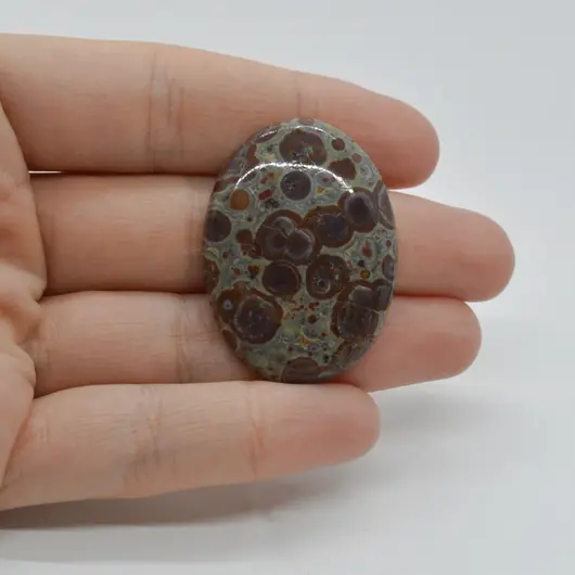 Cabochon Jasp Asteroid 37x27x6mm C25