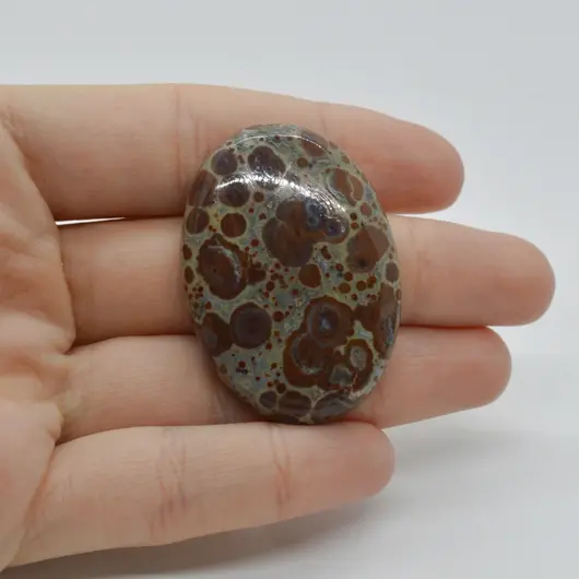 Cabochon Jasp Asteroid 42x30x8mm C21