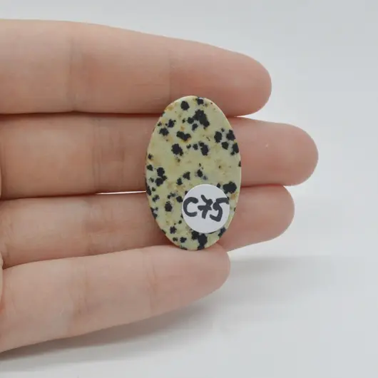 Cabochon Jasp Dalmatian 31x20x6mm C75, imagine 2