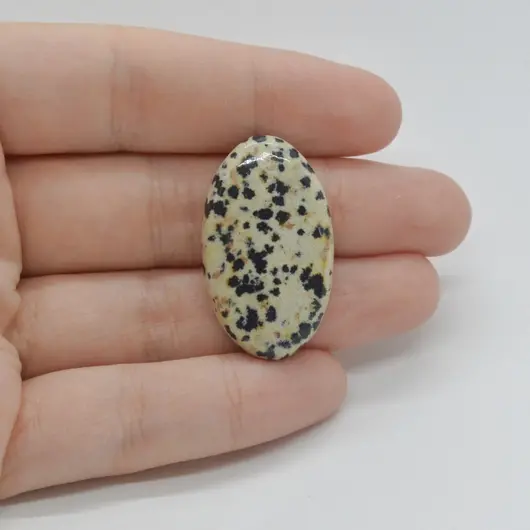 Cabochon Jasp Dalmatian 32x19x6mm C107