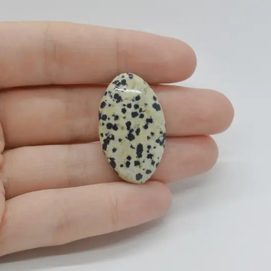 Cabochon Jasp Dalmatian 32x19x6mm C22