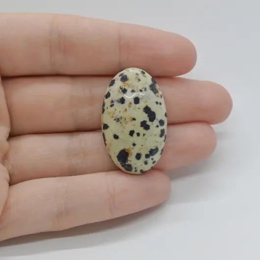 Cabochon Jasp Dalmatian 32x19x7mm C4