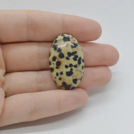Cabochon Jasp Dalmatian 32x20x6mm C12