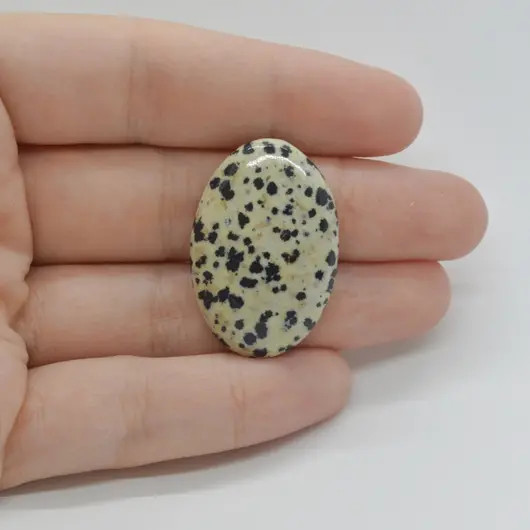 Cabochon Jasp Dalmatian 32x21x6mm C120