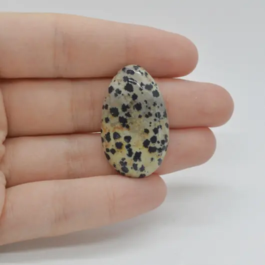 Cabochon Jasp Dalmatian 33x20x5mm C95