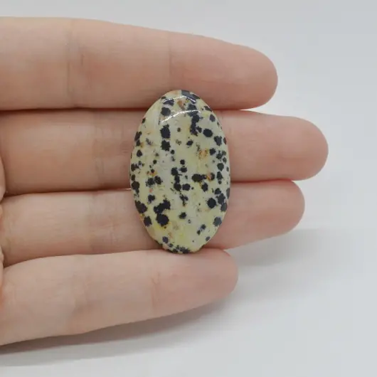 Cabochon Jasp Dalmatian 33x20x6mm C24