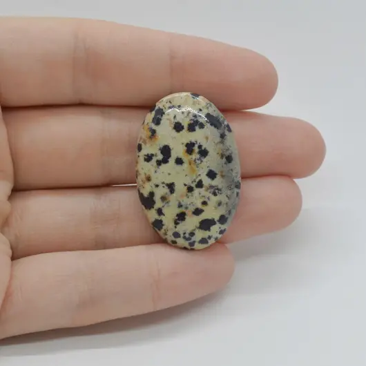 Cabochon Jasp Dalmatian 33x22x5mm C27