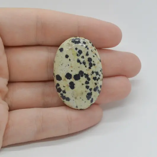 Cabochon Jasp Dalmatian 36x24x7mm C114