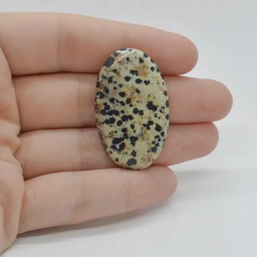 Cabochon Jasp Dalmatian 37x23x5mm C84