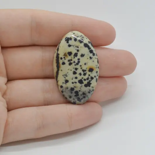 Cabochon Jasp Dalmatian 37x23x6mm C127