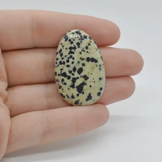 Cabochon Jasp Dalmatian 37x24x5mm C67