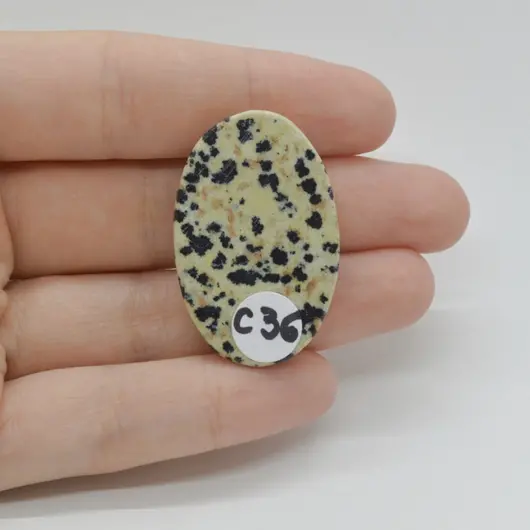 Cabochon Jasp Dalmatian 37x24x6mm C36, imagine 2