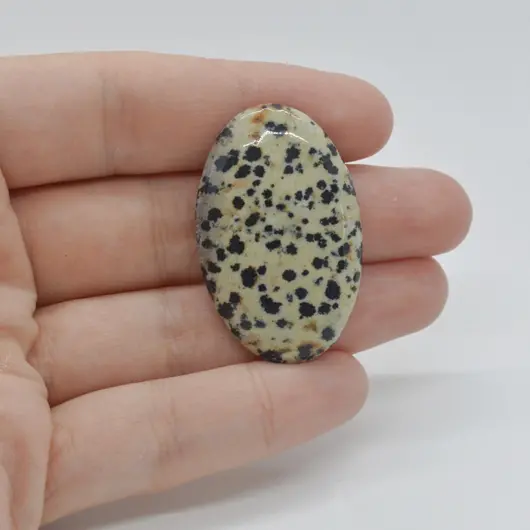Cabochon Jasp Dalmatian 38x24x6mm C49