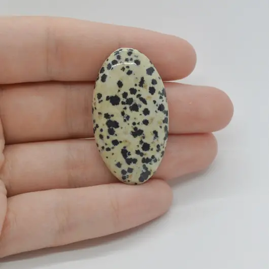 Cabochon Jasp Dalmatian 39x21x6mm C123