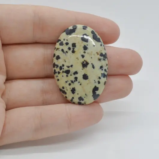 Cabochon Jasp Dalmatian 39x26x6mm C53