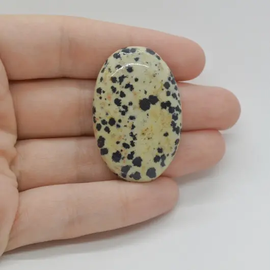 Cabochon Jasp Dalmatian 40x26x7mm C40
