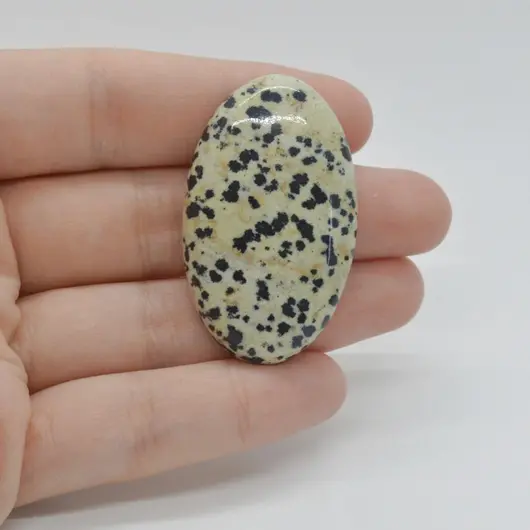 Cabochon Jasp Dalmatian 43x26x7mm C78