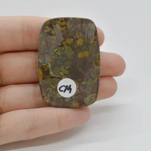 Cabochon Jasp Fruity 47x32x5mm C14, imagine 2