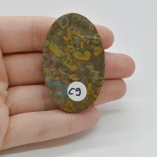 Cabochon Jasp Fruity 51x32x6mm C9, imagine 2