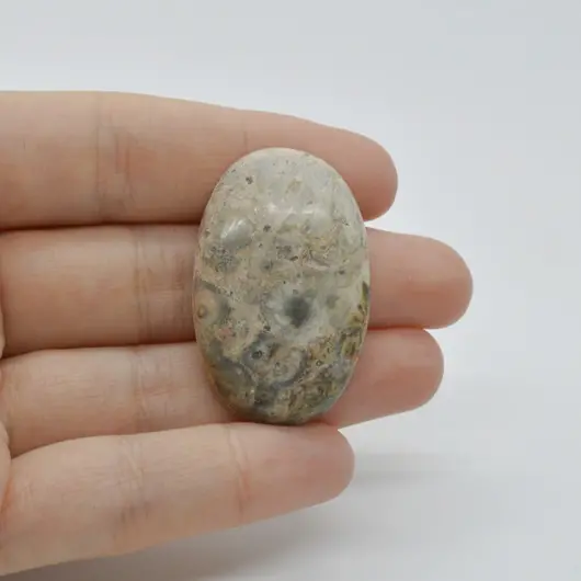 Cabochon Jasp Leopard 2 38x24x7mm C67