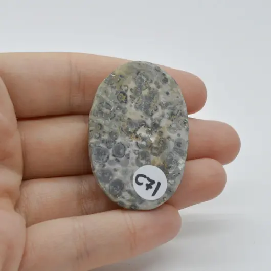 Cabochon Jasp Leopard 2 43x30x7mm C71, imagine 2