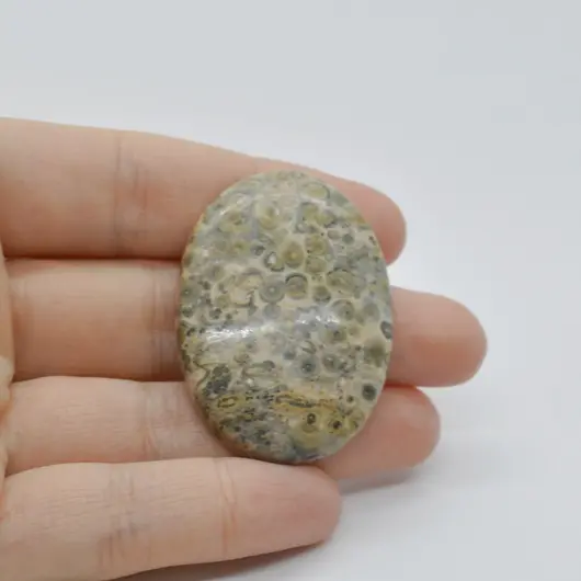 Cabochon Jasp Leopard 2 43x31x6mm C40