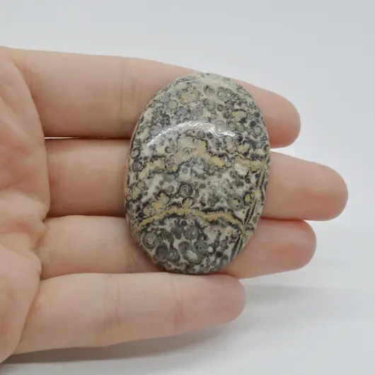 Cabochon Jasp Leopard 2 46x32x7mm C25