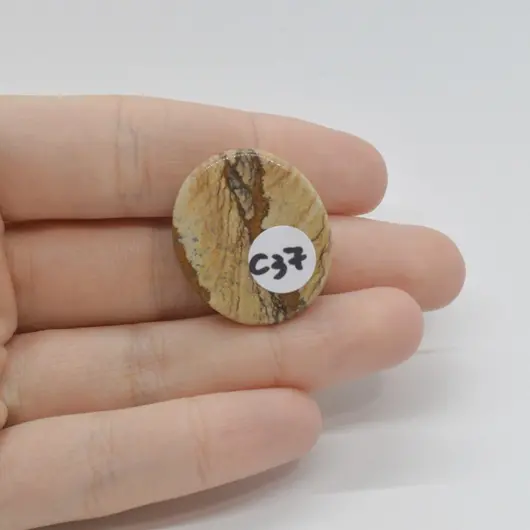 Cabochon Jasp Peisaj 27x23x7mm C37, imagine 2