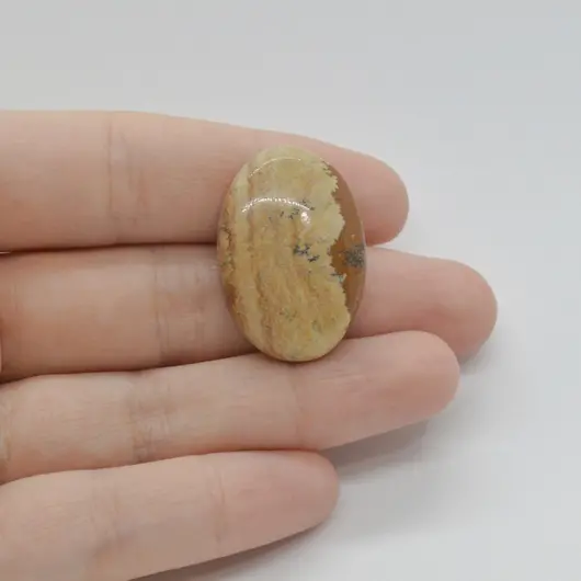 Cabochon Jasp Peisaj 29x20x7mm C90