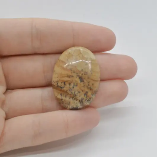 Cabochon Jasp Peisaj 32x24x6mm C47