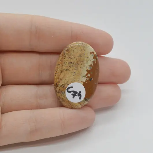 Cabochon Jasp Peisaj 34x22x6mm C74, imagine 2