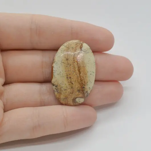 Cabochon Jasp Peisaj 34x22x6mm C74