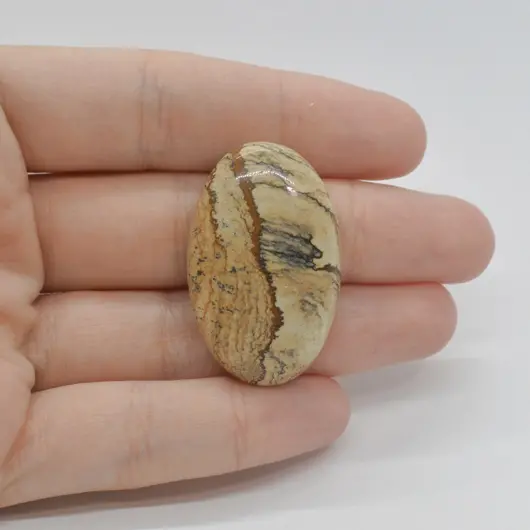 Cabochon Jasp Peisaj 36x22x9mm C42