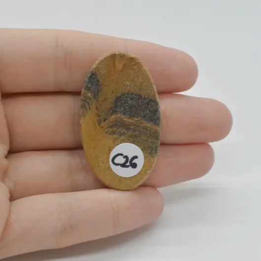 Cabochon Jasp Peisaj 41x23x5mm C26, imagine 2
