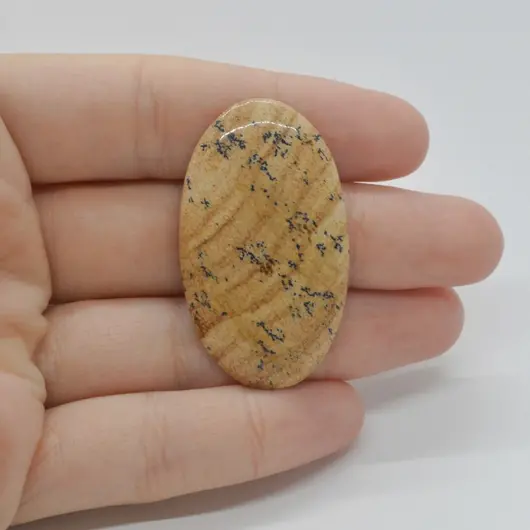 Cabochon Jasp Peisaj 42x24x5mm C8