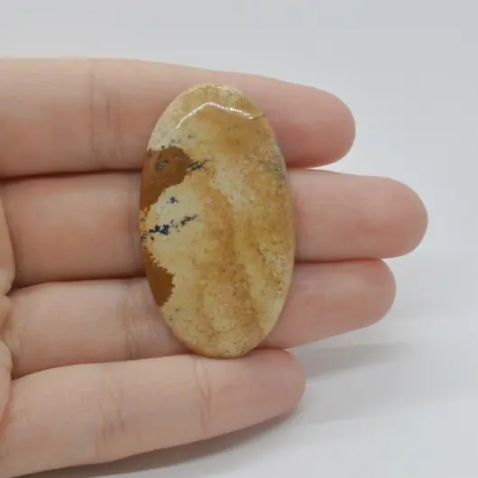 Cabochon Jasp Peisaj 44x25x5mm C3