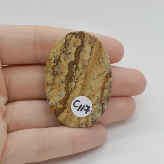 Cabochon Jasp Peisaj 45x31x5mm C117, imagine 2