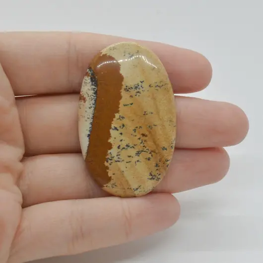 Cabochon Jasp Peisaj 46x29x5mm C23