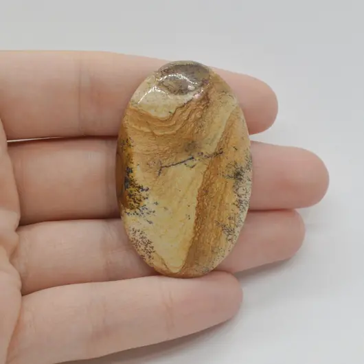 Cabochon Jasp Peisaj 46x29x5mm C98