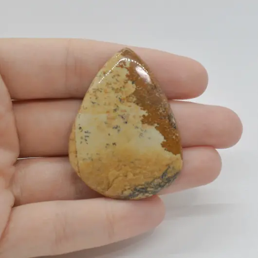 Cabochon Jasp Peisaj 46x34x5mm C68