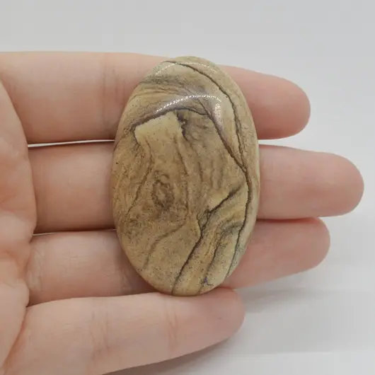 Cabochon Jasp Peisaj 49x31x7mm C116