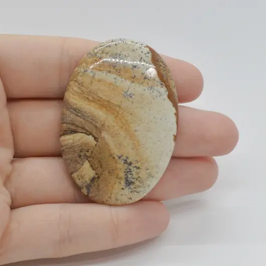 Cabochon Jasp Peisaj 49x35x6mm C56