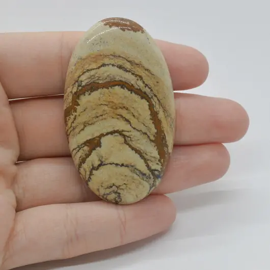 Cabochon Jasp Peisaj 54x32x6mm C2