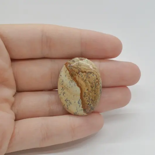 Cabochon Jasp Peisaj 31x23x6mm C126