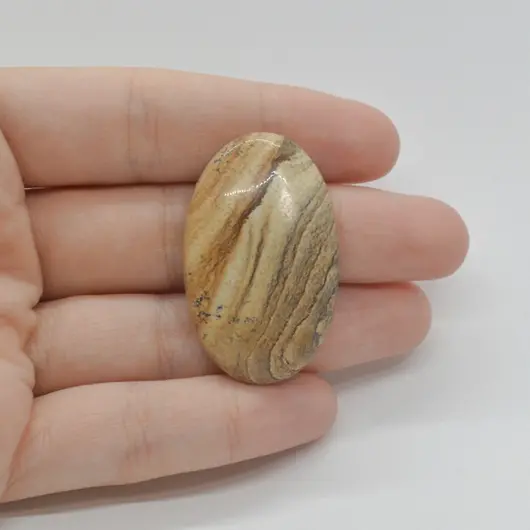 Cabochon Jasp Peisaj 39x24x7mm C121