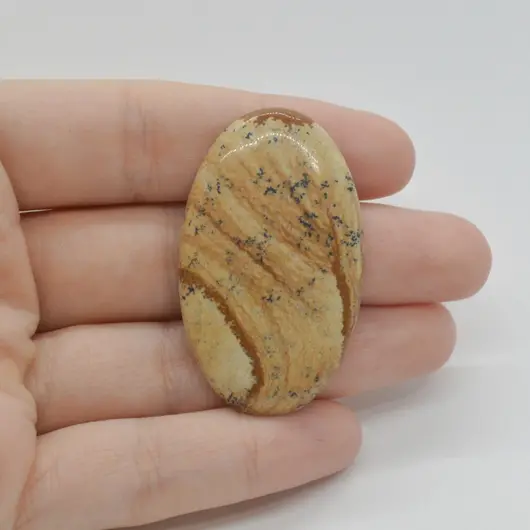 Cabochon Jasp Peisaj 45x27x5mm C119
