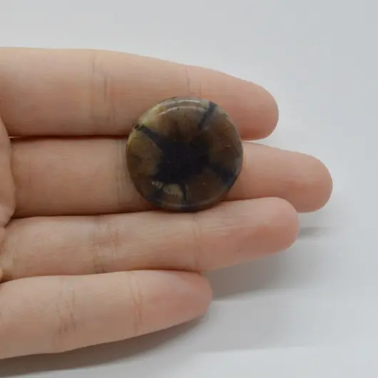 Cabochon Kiastolit 25x25x6mm C23