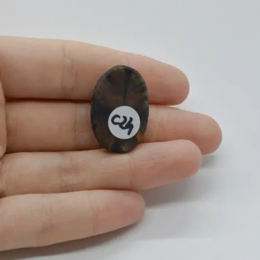 Cabochon Kiastolit 27x18x6mm C24, imagine 2